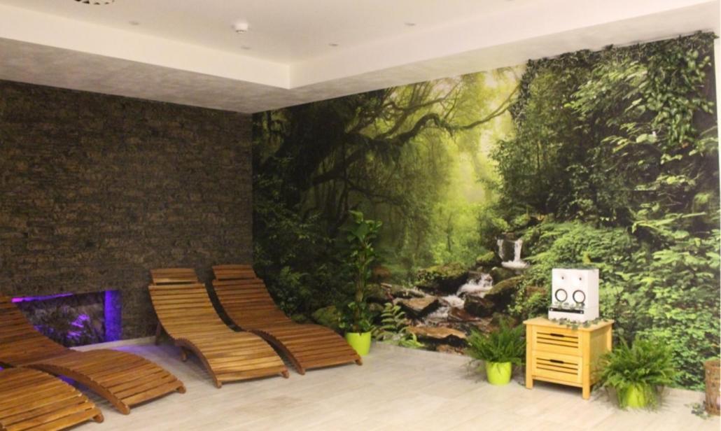 Relax Pension Schonwald Budisov nad Budisovkou 外观 照片